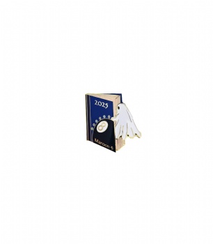 Hard Enamel 27